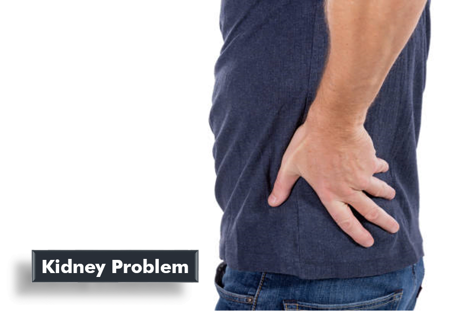 What is the kidney problem? Is it serious? Best Ayurvedic Treatment?