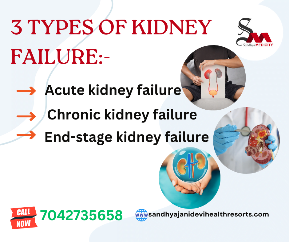 3 types of kidney failure