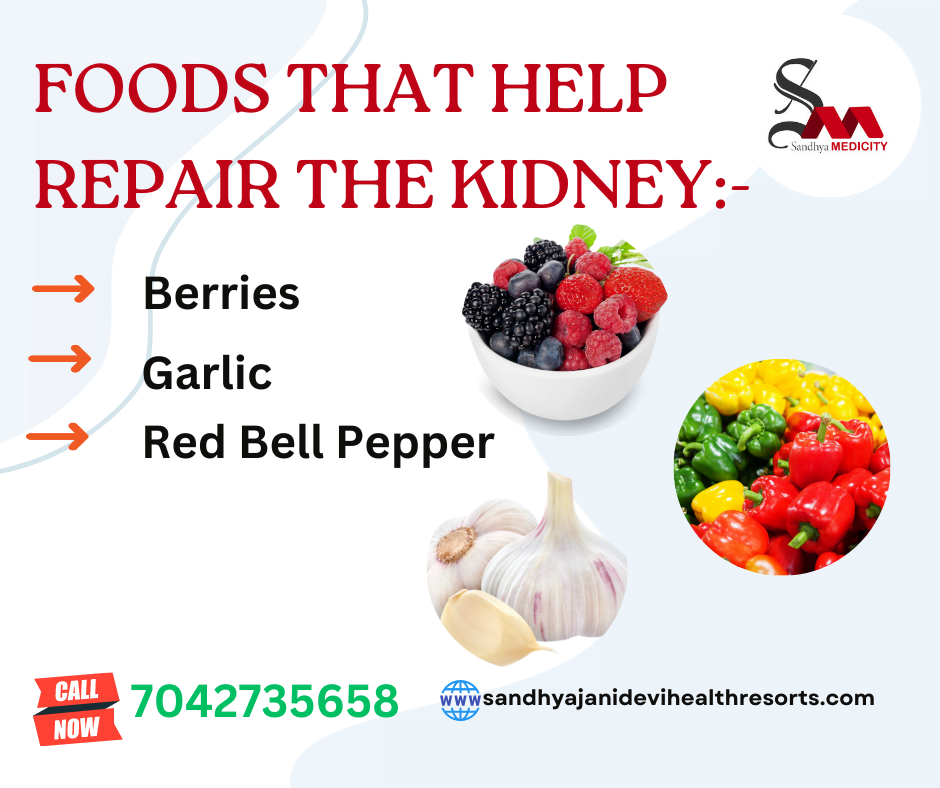 Foods Help Repair Kidneys